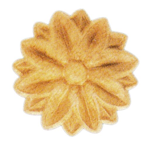 Ornamenten beukenhout, ornamenten hout, afm. 22mm rond
