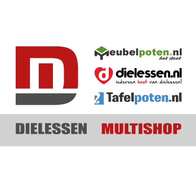 Dielessen Multishop Logo - Dielessen.nl